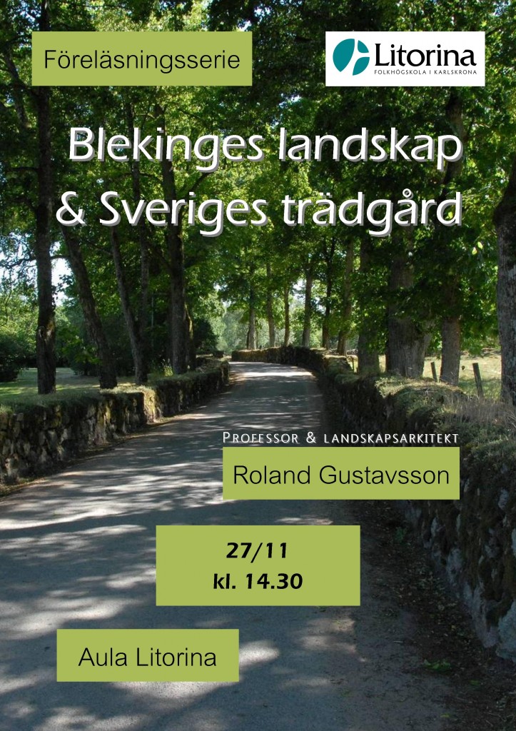 Gustavsson 27.11