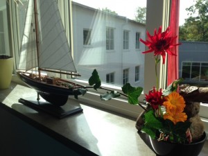 IMG_0059 (1)