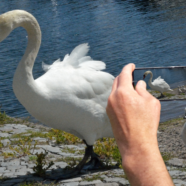 En kurs i friska luften; fotoutflykter